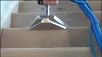 SLO Carpet Cleaning image 6